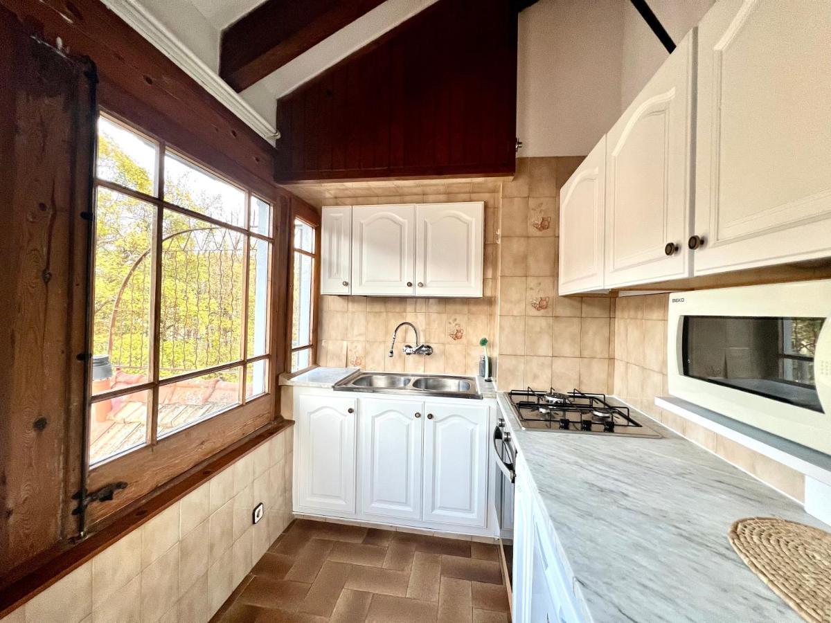 Apartament Atic Casa Pomar Camprodon Zewnętrze zdjęcie